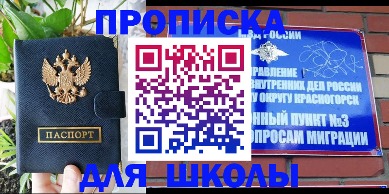 прописка гарантия в Ногинске